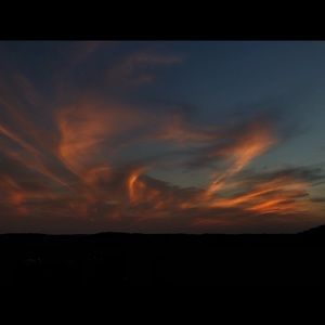 Meet your Posher, Mamaddie